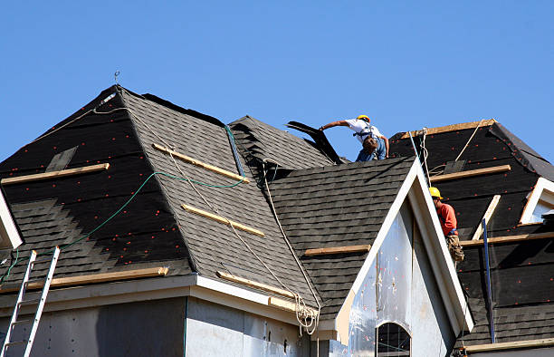 Best Roof Insulation Installation  in Hamlet, NC