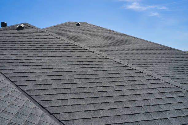 Best Skylight Installation and Repair  in Hamlet, NC